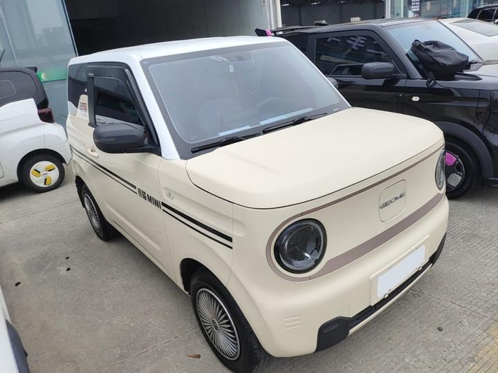2023 Panda mini 200km Endurance Bear photo 3