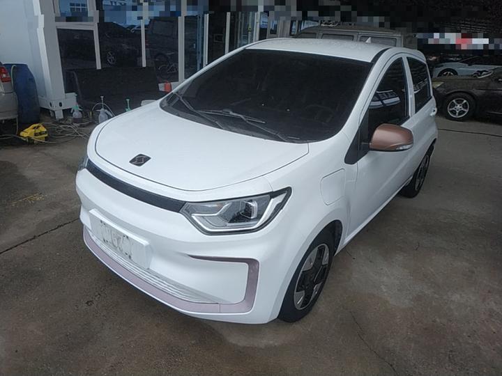 Sehol Flower Fairy 2023 251km 36kW