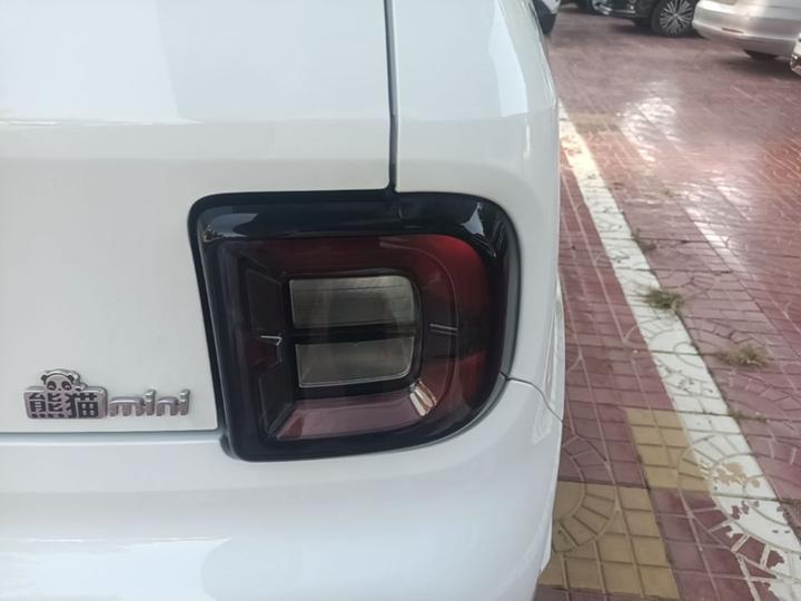 2024 Panda mini 200km Endurance Bear photo 7