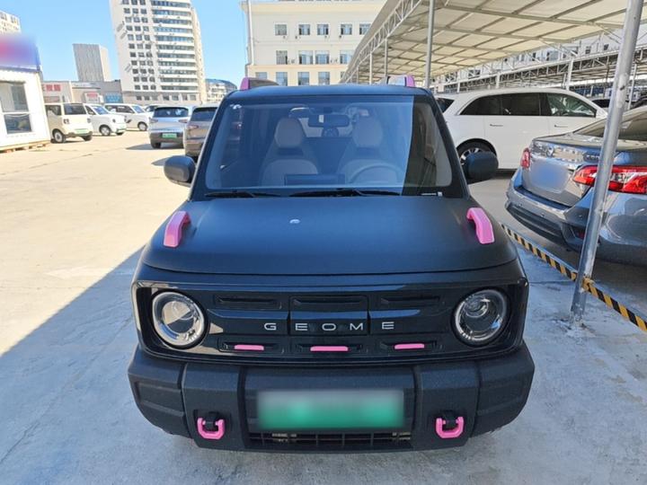 2025 210km Panda photo 2