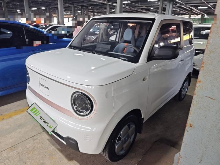 2023 Panda mini 200km Endurance Bear