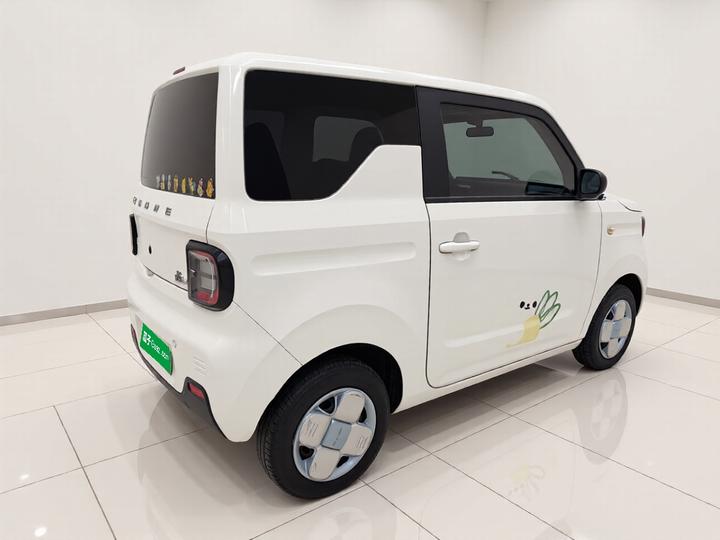 2024 Panda mini 200km Endurance Bear photo 6