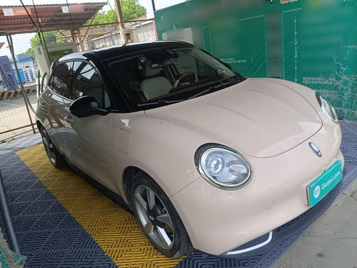 Good Cat 2022 400km Standard Range Premium LFP photo 3