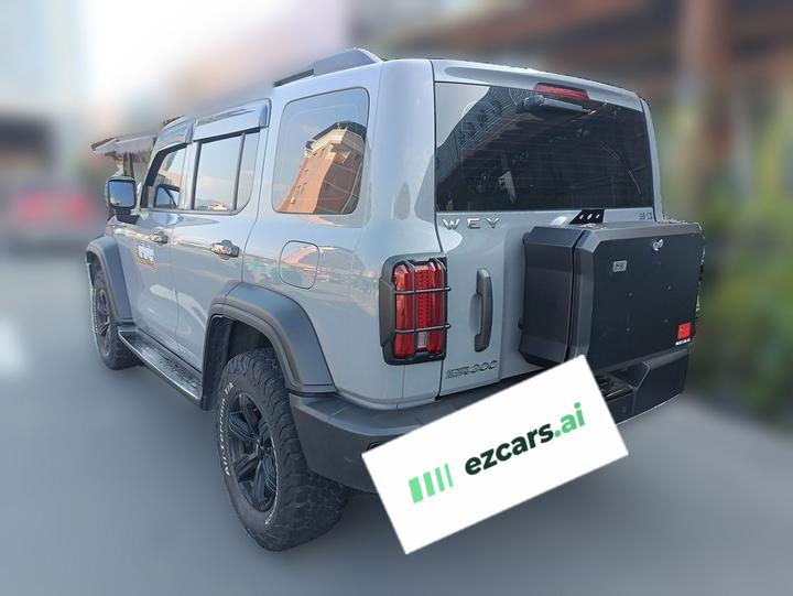300 2021 Off-road 2.0T photo 4