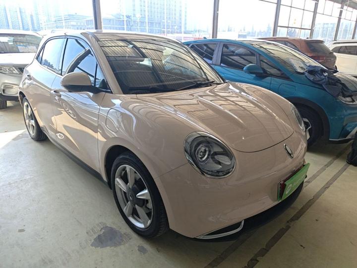 Good Cat 2023 401km Standard Range Luxury LFP photo 3