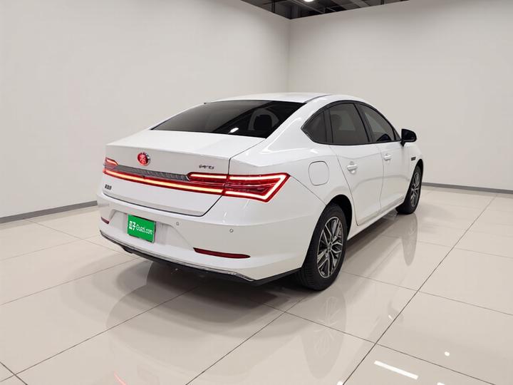 Qin Pro EV 2019 EV Connected photo 6