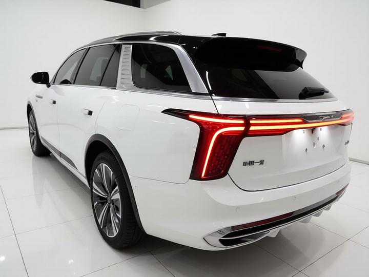 E-HS9 2022 690km 6-Seater photo 4