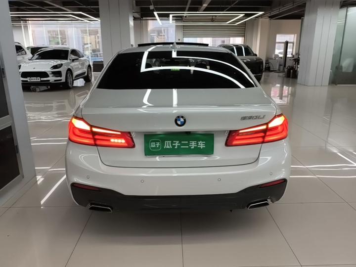 5 Series 2020 530Li Leading M Sport Package photo 3