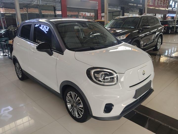 Leapmotor T03 2021 400 Luxury photo 3