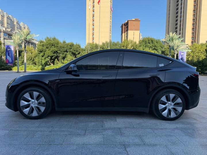 Model Y 2021 Standard Range RWD photo 3