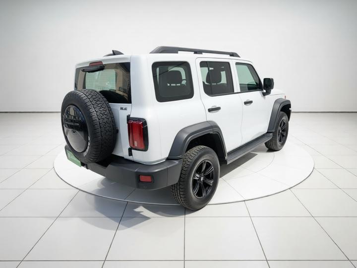 300 2021 Off-road 2.0T photo 6