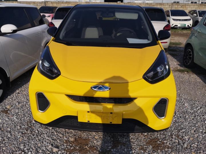 QQ Little Ant 2021 15 LFP photo 2