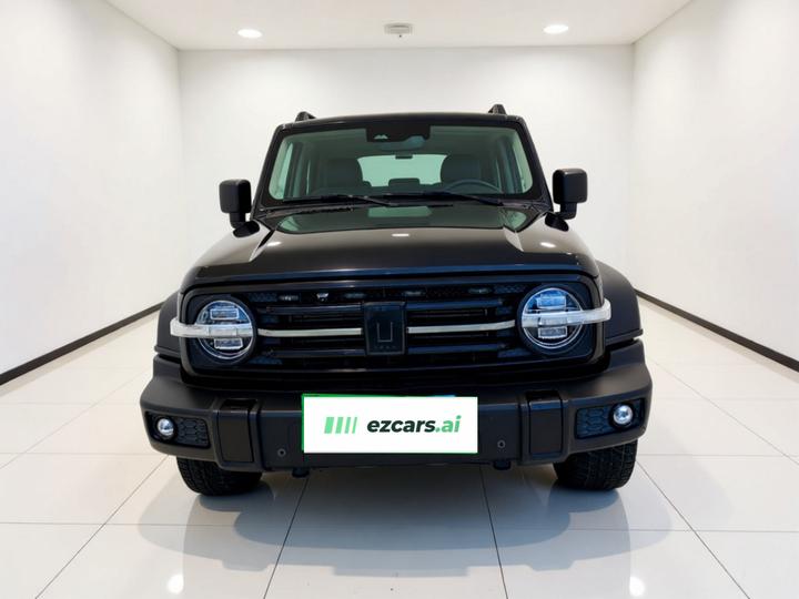 300 2021 Off-road 2.0T Conqueror photo 2