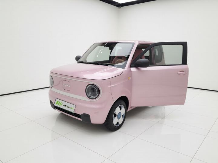 2023 Panda mini 200km Endurance Bear