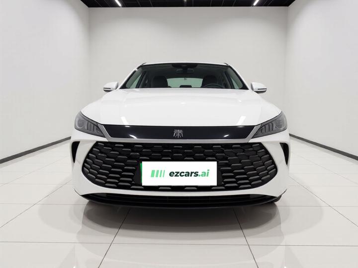 Qin PLUS 2025 DM-i ADAS 55KM Leading photo 2