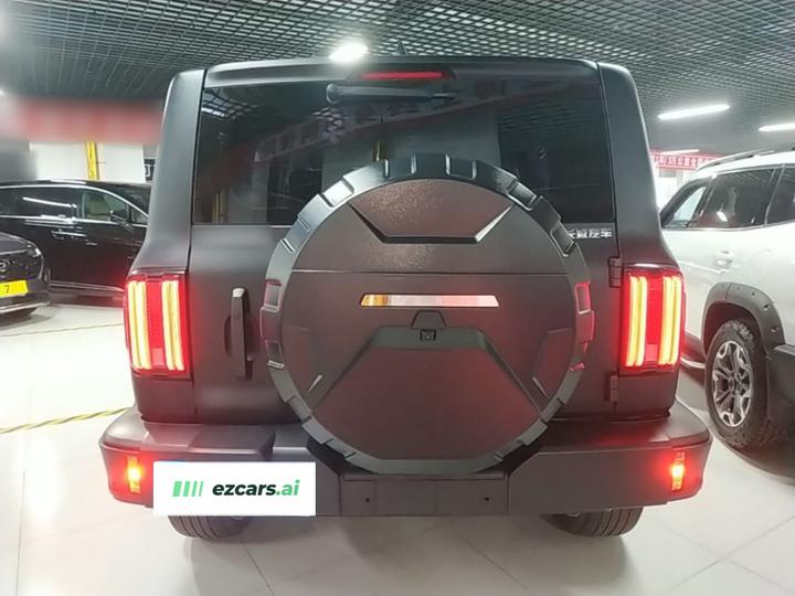 300 2024 2.0T Conqueror photo 5