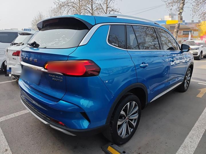RX5 MAX 2019 300TGI AT 4G Luxury photo 4