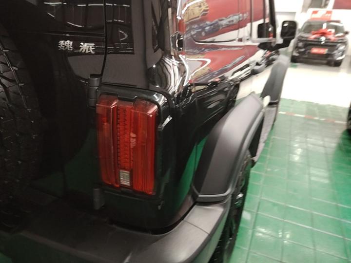 300 2021 Off-road 2.0T Conqueror photo 7