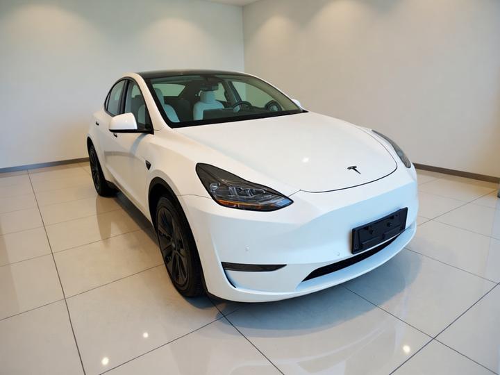 Model Y 2023 Long Range AWD photo 3