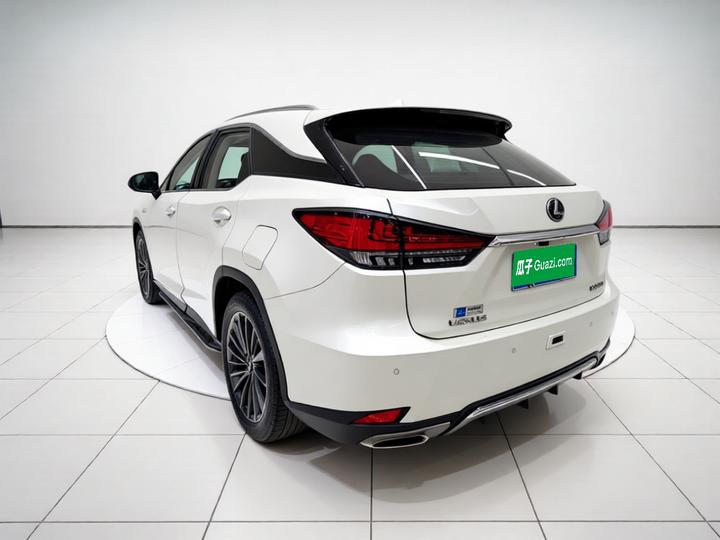 RX 2020 Facelift 300 RWD Elite photo 4