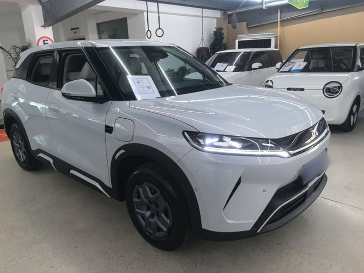 Yuan UP 2025 ADAS 401KM photo 3