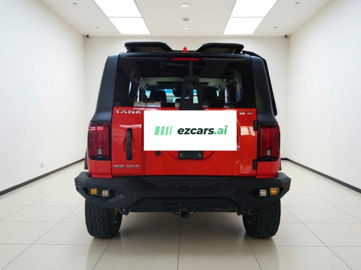300 2021 Off-road 2.0T photo 5