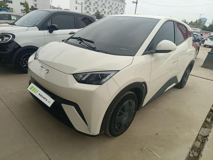 Seagull 2025 305km