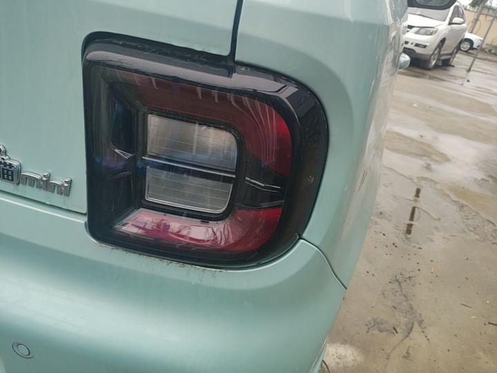 2024 Panda mini 200km Endurance Bear photo 7