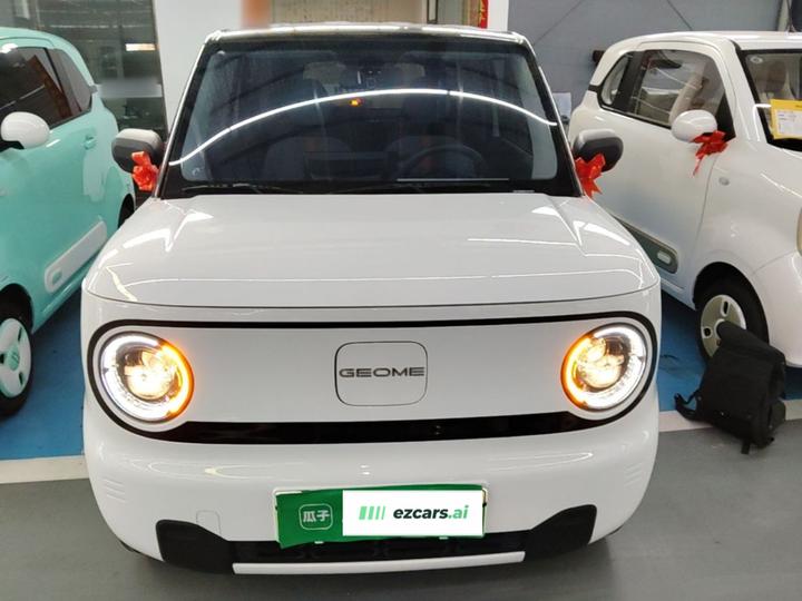 2024 Panda mini 200km Endurance Bear photo 2
