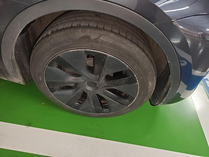 Model Y 2024 RWD photo 8