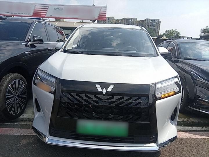 730 EV 2025 125km Luxury photo 2