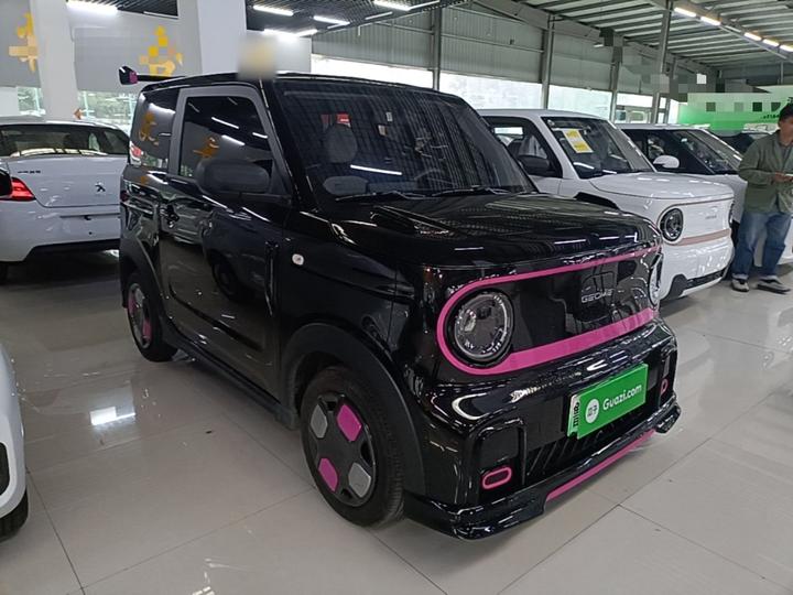 2025 210km Panda photo 3
