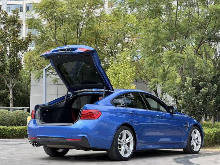 4 Series 2016 420i Gran Coupe M Sport photo 7