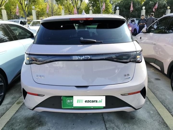 Dolphin 2025 ADAS 410km Fashion photo 5