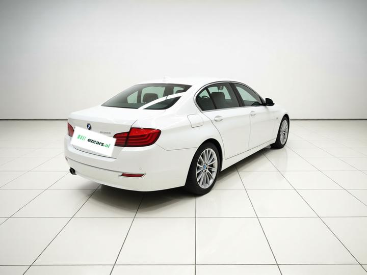 5 Series 2017 525Li Luxury Design Package photo 6