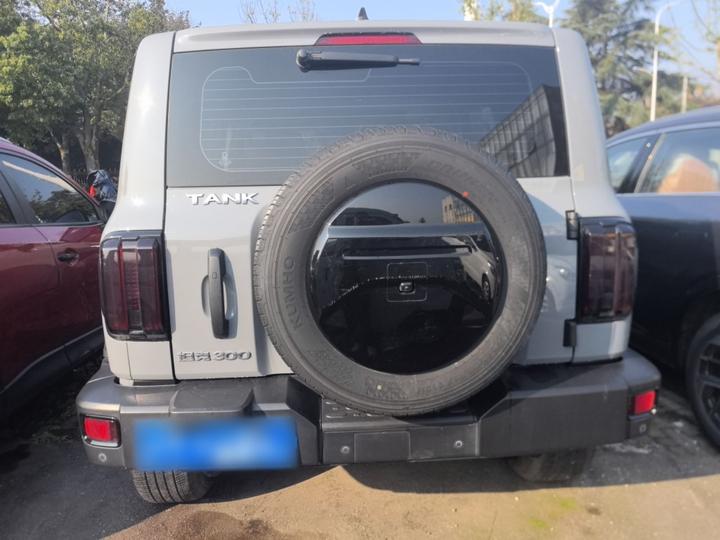 300 2021 Off-road 2.0T photo 4