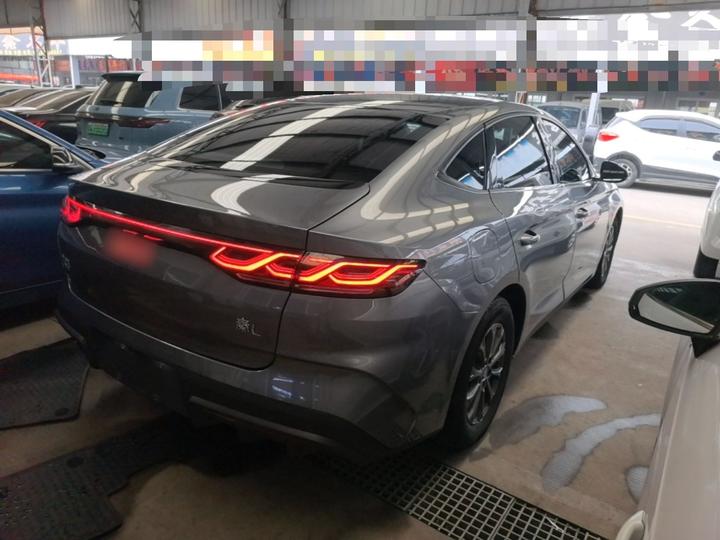 Qin L 2024 DM-i 80KM Leading photo 4