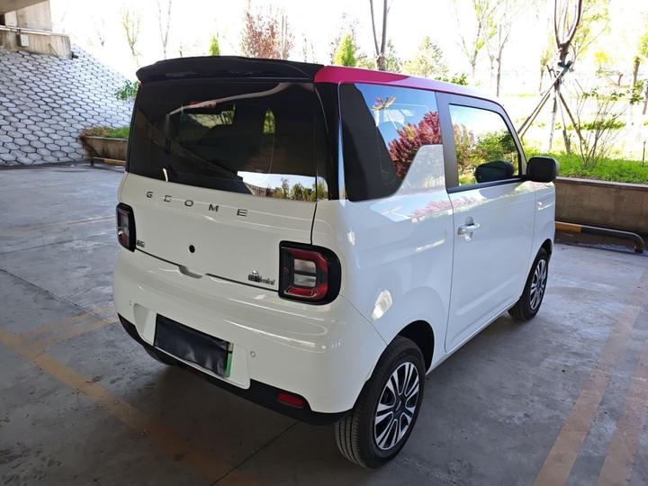 2025 Panda mini 210km Yuan photo 4