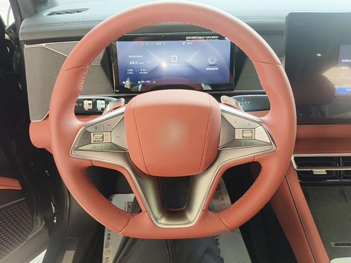 Tang L 2025 DM 175KM photo 6