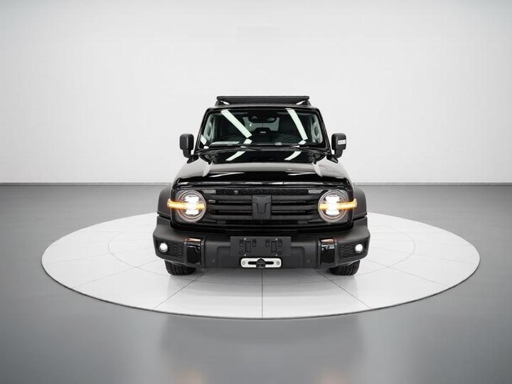 300 2021 Off-road 2.0T Conqueror photo 2