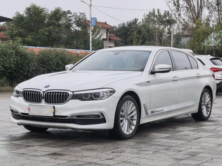 5 Series 2019 525Li Luxury