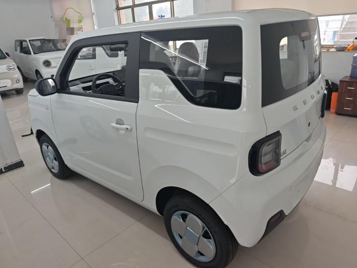 2024 Panda mini 200km Endurance Bear photo 4