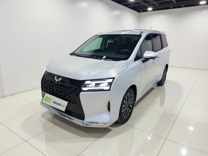 730 EV 2025 125km Luxury