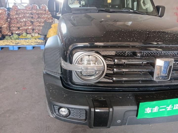 300 2021 Off-road 2.0T photo 7