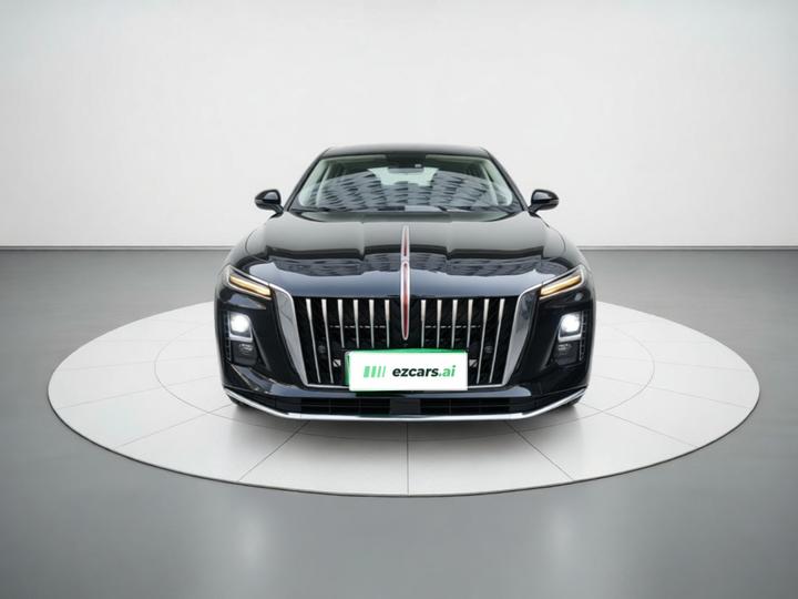 H5 PHEV 2025 130 photo 2