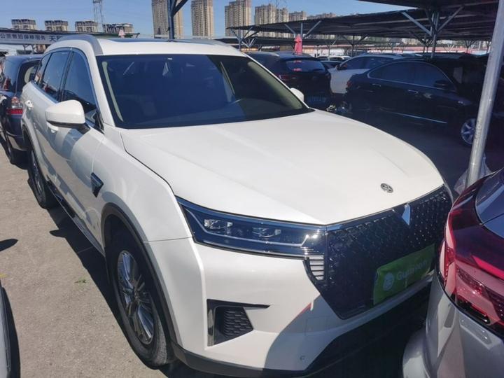 2021 260T AT 48V Mild Hybrid photo 2