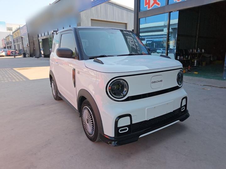 2024 200km Panda photo 3
