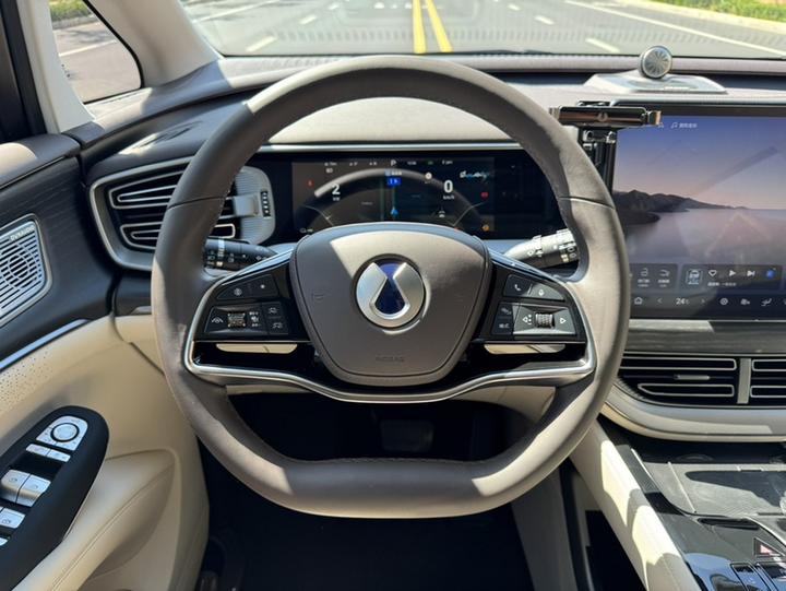 D9 2024 DM-i 980 AWD Noble photo 4