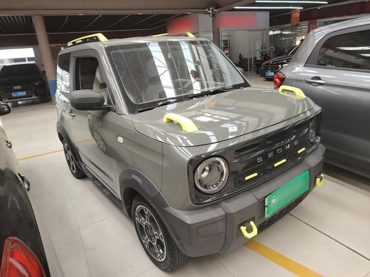 2025 210km Panda photo 3