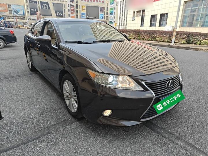 ES 2013 250 Elite photo 3